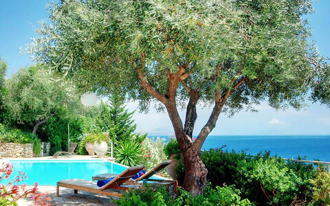 Villa Azzurra: Plantas Leñosas, Jardín, Sombra, Paisajismo, Mueble Para Exteriores