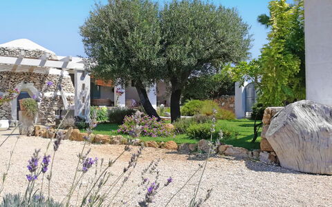 Villa la Rezza: Arbusto, Jardín, Cobertura Del Suelo, Paisajismo, Yarda, Sombra, Patio Interior, Césped, Diseño