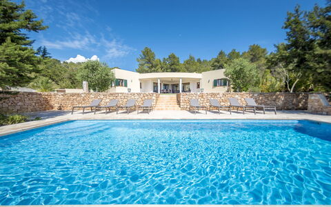 Villa Sharon: Azul, Piscina, Paisajismo, Inmuebles, Recurso, Zona Tropical, Eco Hotel, Hojas Perennes, Ciudad De Vacaciones, Villa