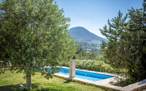 Villa Sharon: Arbusto, Sombra, Jardín, Paisajismo, Hojas Perennes, Eco Hotel
