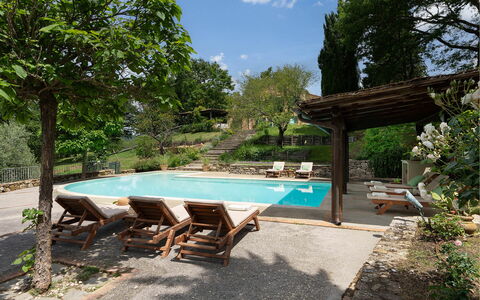 Villa la Foresta: Mueble Para Exteriores, Inmuebles, Hacienda, Sombra, Jardín, Losa, Patio Interior, Patio, Villa, Piscina