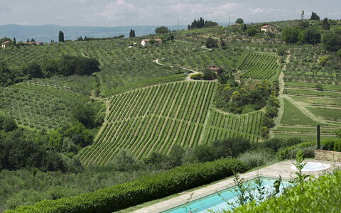 Villa Chianti: Plantación, Agricultura, Paisaje, Arbusto, El Terreno Del Lote, Área Rural, Hill Station, Campo, Cobertura Del Suelo, Viñedo