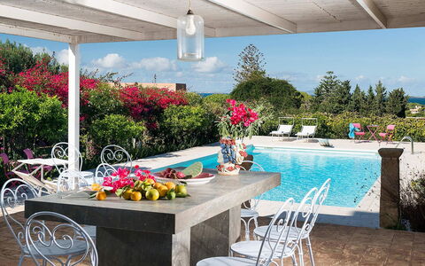 The Flower Garden: Mueble, Mesa, Maceta, Mueble Para Exteriores, Silla, Recurso, Mesa Al Aire Libre, Jardín, Piscina