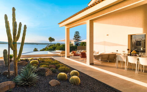Sea Art Villa: Paisajismo, Jardín, Inmuebles, Villa, Recurso, Costa, Sombra, Eco Hotel, Entrada De Coches