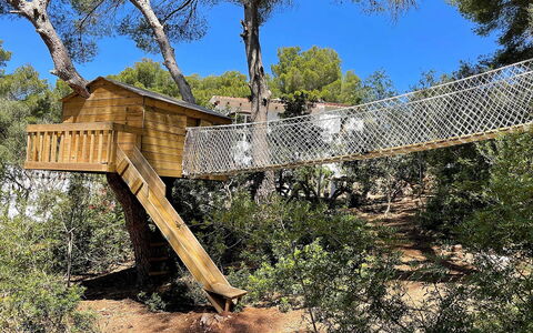 Villa Alejandra: Árbol, Madera, Selva, Vacaciones