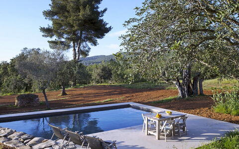 Villa Cave: Piscina, Jardín, Sombra, Paisajismo, Mueble Para Exteriores, Fuente De Agua, Patio Interior, Sunlounger, Piscina De Reflejo, Recurso