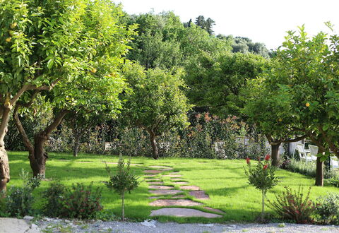 Mermaid Villa: Hoja, Arbusto, Jardín, Primavera, Plantas Leñosas, Césped, Sombra, Yarda, Patio Interior