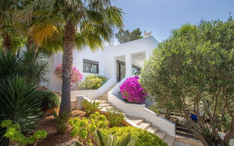 Villa Ilona: Arbusto, Jardín, Paisajismo, Inmuebles, Villa, Recurso, Hacienda, Yarda, Mansión