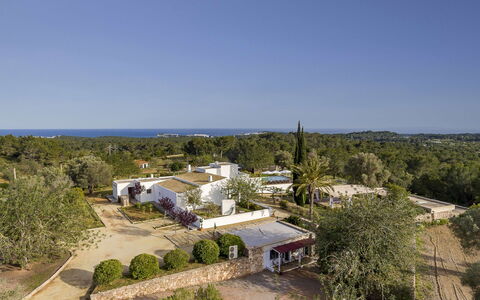 Villa Papiro: Árbol, Barrio Residencial, Paisaje, Casa, Inmuebles, El Terreno Del Lote, Paisajismo, Suburbio, Hacienda, Fotografía Aérea