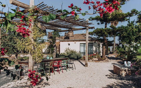 Villa Horses: Maceta, Jardín, Sombra, Paisajismo, Yarda, Pérgola, Estructura Al Aire Libre, Patio Interior, Planta De Casa