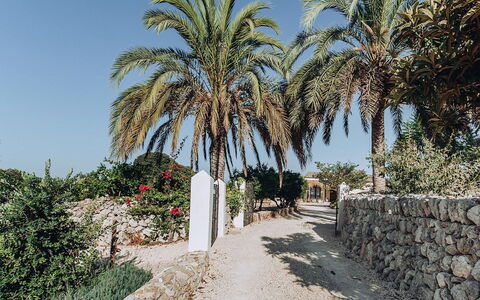 Villa Horses: Cielo, Vegetación, Arbusto, Plantas Leñosas, Paisajismo, Zona Tropical