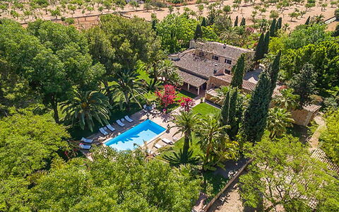 Villa Peacock: Piscina, Recurso, Hacienda, Eco Hotel, Jardín, Inmuebles, Paisajismo, Villa, Hotel