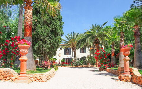 Villa Peacock: Árbol, Hacienda, Jardín, Sombra, Paisajismo, Recurso, Eco Hotel