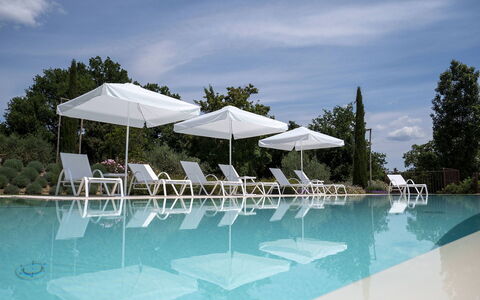 Villa Ripa: Piscina, Mueble Para Exteriores, Mueble, Recurso, Sunlounger, Silla, Eco Hotel, Sombra, Paraguas, Ciudad De Vacaciones