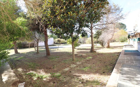 Noemi'S House in Otranto: Hoja, Rama, El Maletero, Plantas Leñosas, Sombra, Jardín, Suelo, Paisajismo, Yarda, Pasarela