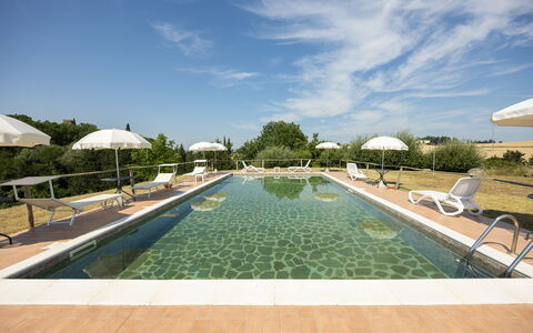 Il Giuncheto, Pool, Amazing View, Umbrian Countrys: Piscina, Paisajismo, Mueble Para Exteriores, Plantación