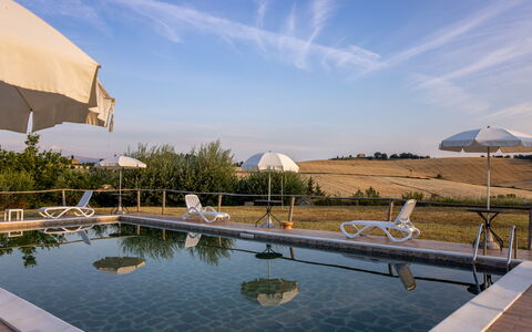 Il Giuncheto Apartments, Pool, Umbrian Countryside: Piscina, Mueble Para Exteriores, Sunlounger, Paraguas