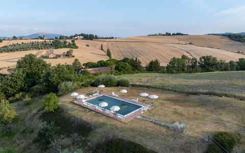 Il Giuncheto Apartments, Pool, Umbrian Countryside: Paisaje, Piscina, Llanura, El Terreno Del Lote, Inmuebles, Fotografía Aérea, Vista Panorámica, Paisajismo, Plantación, Campo