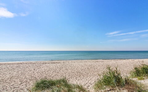 Svenja - 300M from the Sea