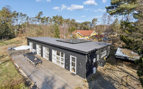 Svenja - 300M from the Sea