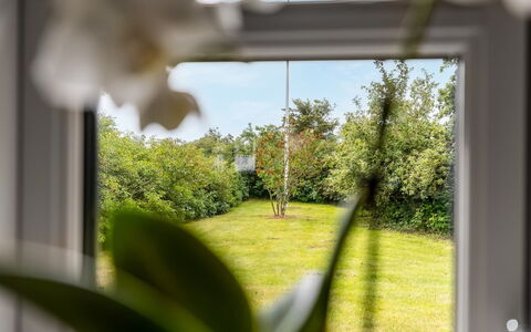 Nette - 15Km from the Sea: Hoja, Vegetación, El Terreno Del Lote, Primavera, Luz De Sol, Plantas Leñosas, Jardín, Vaso, Césped