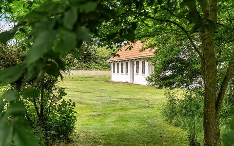 Nette - 15Km from the Sea: Árbol, Hierba, Hoja, Arbusto, Área Rural, El Terreno Del Lote, Llanura, Casa, Cabaña, Césped