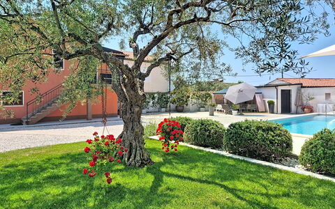 Villa Roza: Casa, Jardín, Sombra, Inmuebles, Hacienda, Paisajismo, Yarda, Patio, Villa