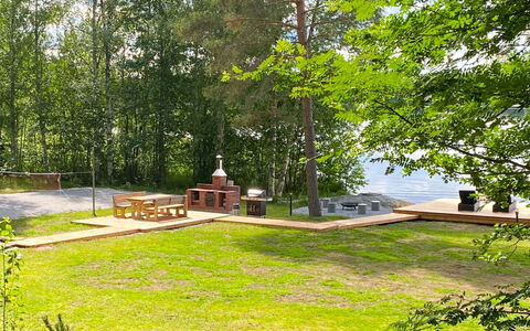 Aurinko Vanaja: Árbol, Madera, Jardín, Primavera, Sombra, Parque, Bosque, Paisajismo, Madera Dura