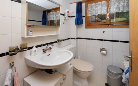 Haus Margrittli: Arreglo De Tubería, Baño, Lavabo Del Baño, Lavabo, Diseño De Interiores, Grifo, Plomería, Piso, Mostrador, Mueble De Baño