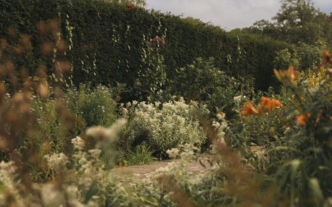 Innes House: Naturaleza, Hoja, Vegetación, Arbusto, Planta De La Comunidad, Jardín, Cobertura Del Suelo, Luz De Sol, Flor Silvestre, Planta Herbácea