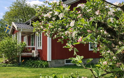 Heagård