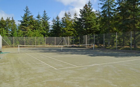 Udder - 1.3Km from the Sea: Pista De Tenis, Invierno, Red, Alerce, Hojas Perennes