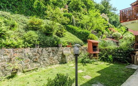 Lidia: Verde, Arbusto, Jardín, Planta De La Comunidad, Cobertura Del Suelo, Paisajismo, Yarda, Patio Interior, Jardín Botánico