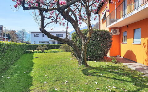 Sailor'S Home: Casa, Casa, Césped, Jardín, Yarda, Patio Interior, Sombra, Paisajismo, Cobertura, Inicio De Esgrima