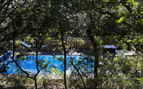 Villa Sole - Exclusive Villa al Conero con Piscina: Azul, Naturaleza, Hoja, Rama, Piscina, Sombra, Luz De Sol, Ramita, Jardín, Patio Interior