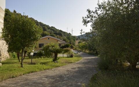 Villa del Monte: Vegetación, Paisaje, Arbusto, Área Rural, Entrada De Coches, Pueblo De Montaña, Sendero, Pasarela, Camino