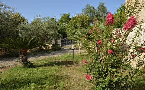 Villa del Monte: Flor, Arbusto, Jardín, Rosado, Primavera, Planta Floreciendo, Paisajismo, Jardín Botánico, Yarda