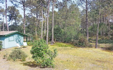 Hibiscus 10: Mueble, Madera, Mueble Para Exteriores, Mesa, Mesa Al Aire Libre, Silla, Cocina Y Comedor Mesa, Cubierta, Madera Dura, Porche