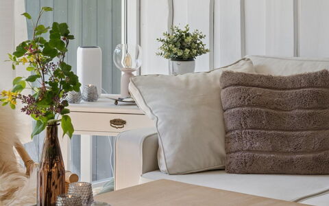 Petkana - 4Km from the Sea: Mueble, Diseño De Interiores, Maceta, Mesa, Textil, Sala, Casa, Amortiguar, Encendiendo, Sofá
