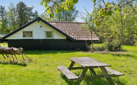 Petkana - 4Km from the Sea: Hierba, Árbol, Cabaña, Casa, El Terreno Del Lote, Casa, Área Rural, Techo, Cobertura Del Suelo