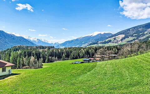 Panoramablick Tauern: Hierba, Verde, Accidentes Geográficos Montañosas, Naturaleza, Pradera, Montaña, Paisaje Natural, Colina, Paisaje