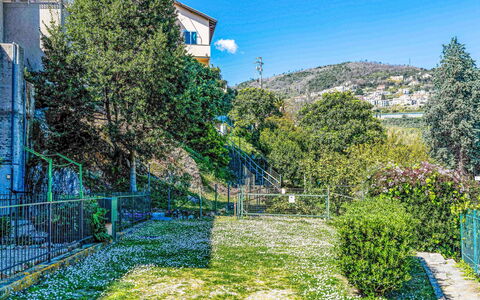 Geranio: Azul, Arquitectura, Barrio Residencial, Casa, Primavera, Departamento, Jardín, Suburbio, Balcón, Cerca