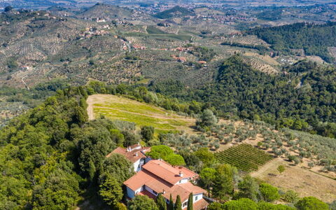 Colle Mediceo: Colina, Paisaje, Tierras Altas, Vista Panorámica, Hill Station, Área Rural, Fotografía Aérea, Chaparral, Inmuebles, Pueblo