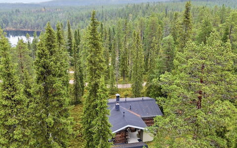 Rukan Kivikelo: Árbol, Entorno Natural, Hoja, Bosque, Planta De La Comunidad, Alerce, Bosque, Reserva Natural