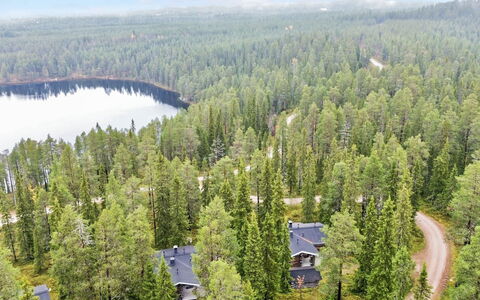 Rukan Kivikelo: Árbol, Entorno Natural, Naturaleza, Bosque, Paisaje, Planta De La Comunidad, El Terreno Del Lote, Bosque
