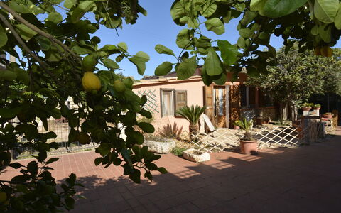Ranch Salomonello: Arbusto, Maceta, Jardín, Sombra, Planta De Casa, Yarda, Patio Interior, Paisajismo, Silla