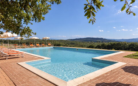 Casa Stella Serena, Casole D'Elsa, Pool: Piscina, Eco Hotel, Recurso, Inmuebles, Hacienda, Casa De Campo, Villa, Paisajismo, Ciudad De Vacaciones, Hotel