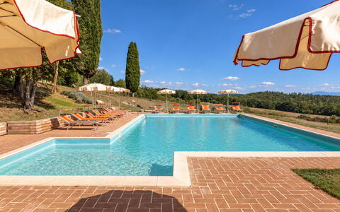 Casa Stella Serena, Casole D'Elsa, Pool: Inmuebles, Hacienda, Paisajismo, Villa, Piscina, Plantación, Casa De Campo