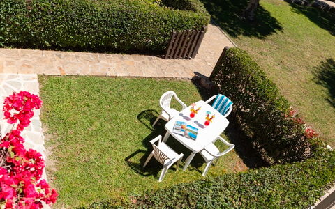 Perla San Teo: Arbusto, Jardín, Césped, Cobertura Del Suelo, Cobertura, Primavera, Paisajismo, Patio Interior, Yarda, Sombra