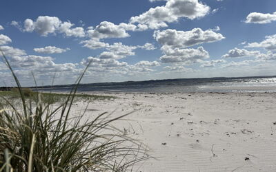 Gizelle - 200M from the Sea